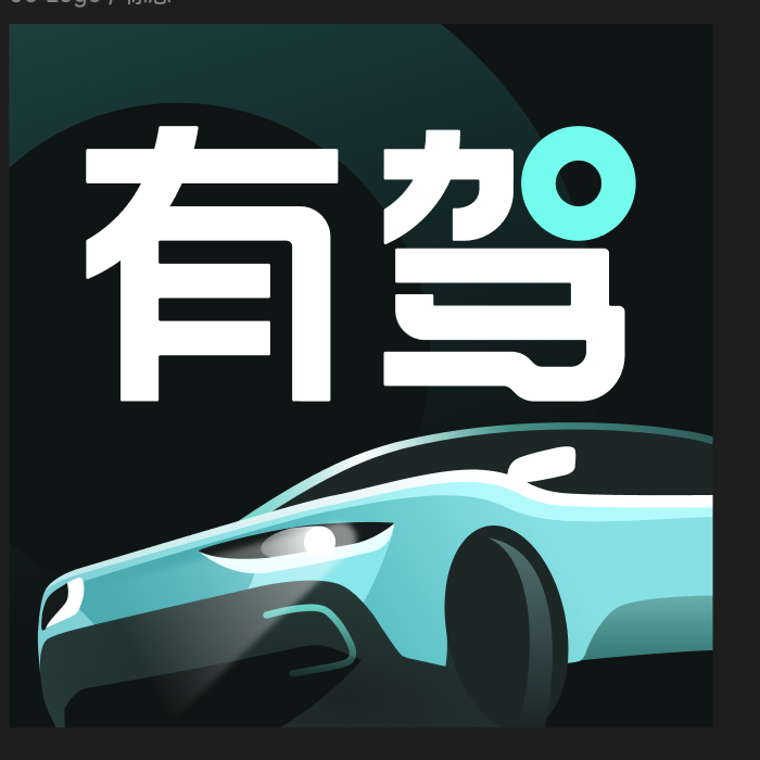 百度有驾汽车查询