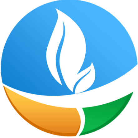 PACP 后端代码生成