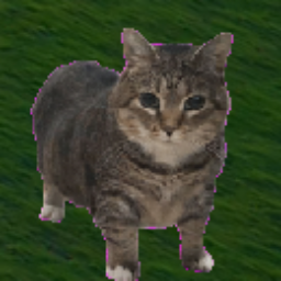WorkBuddy Pet Companion icon